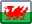 Language - Welsh