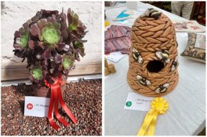 On the left: a potted succulent with a red rosette. On the right: a pottery beehive with a yellow rosette.