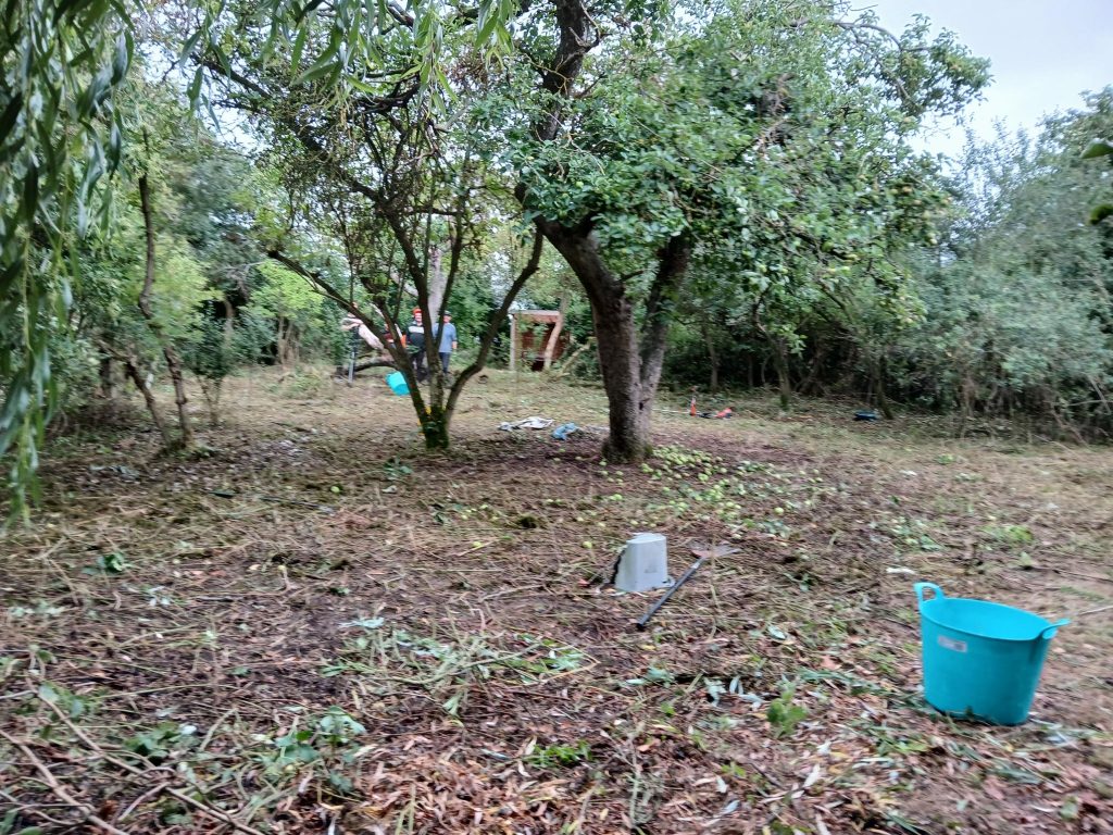 The garden looking much clearer. Branches and other cuttings cover the lawn.