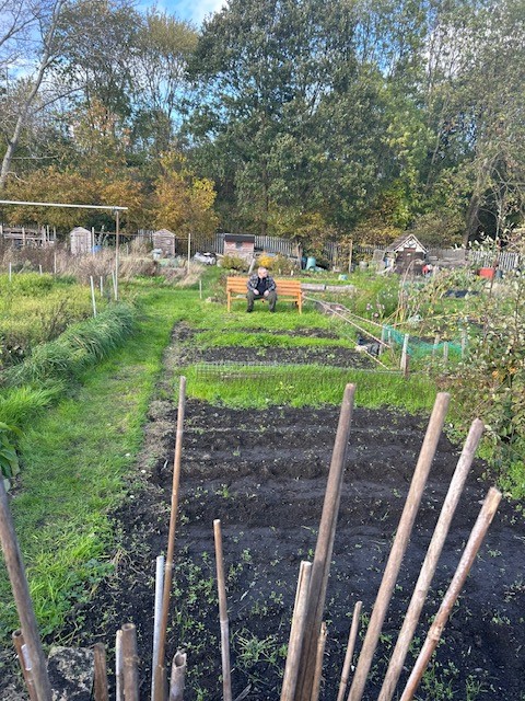 Part of the allotment.